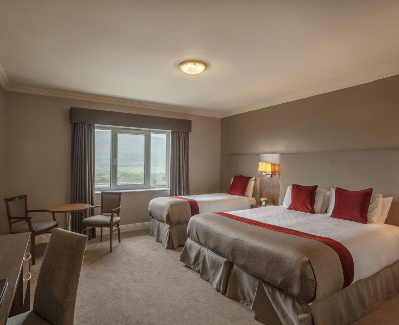 Deluxe Double Room Carrickdale Hotel