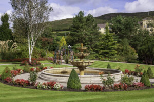 Gardens at the Carrickdale