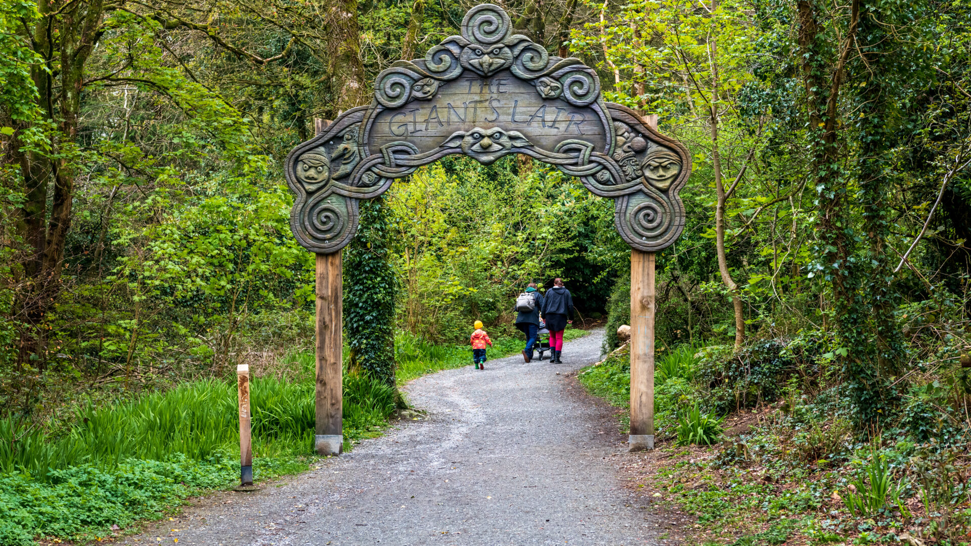 Slieve Gullion Forest co armagh 5 Gareth Wray.jpg TI72OCZ