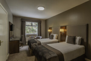 Standard Twin Room Carrickdale Hotel