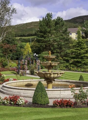 Gardens at the Carrickdale 1 1